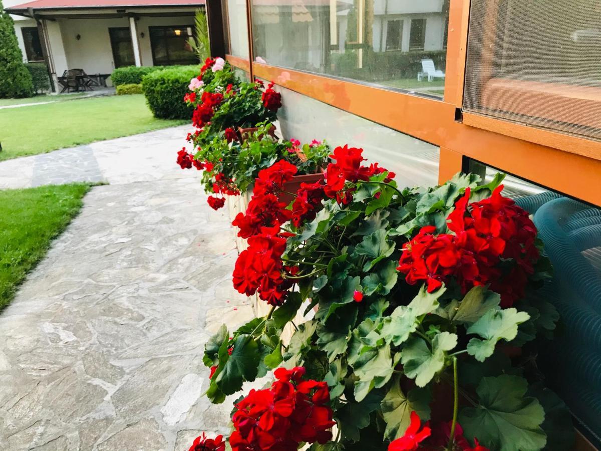 Evelina Palace Hotel バンスコ エクステリア 写真